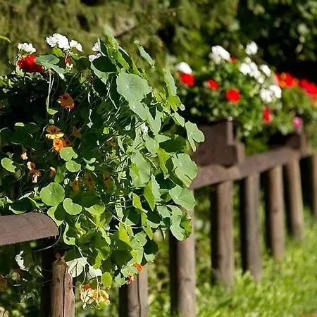 Chalet Cozy Chalet With Fireplace Located In Wooded Area Schönecken