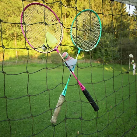 Cozy Chalet With Fireplace Located In Wooded Area * Schönecken