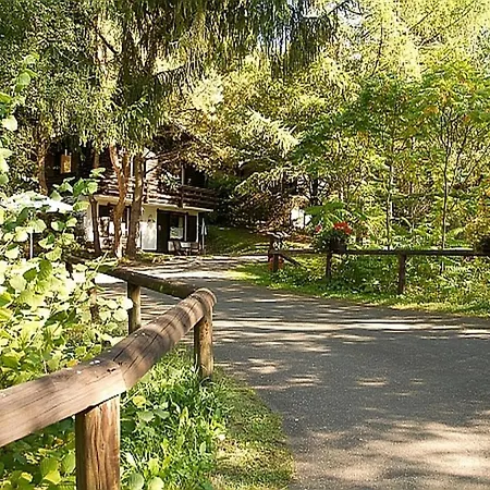 Cozy Chalet With Fireplace Located In Wooded Area