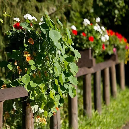 Cozy Chalet With Fireplace Located In Wooded Area Chalet