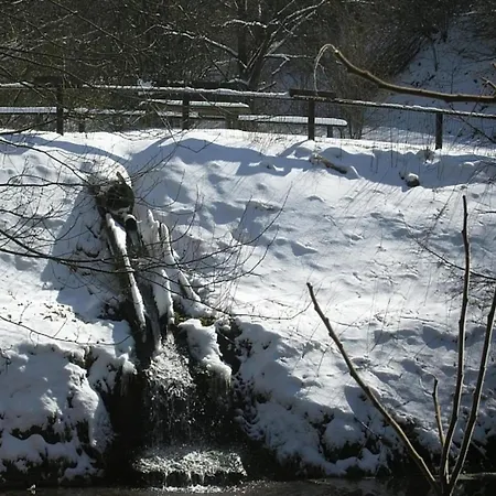 Cozy Chalet With Fireplace Located In Wooded Area Chalet Schönecken