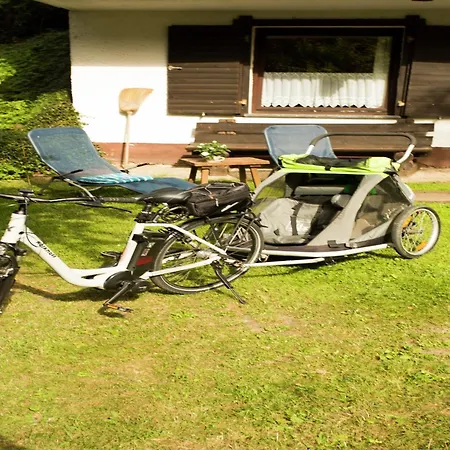 Chalet Cozy Chalet With Fireplace Located In Wooded Area Schönecken