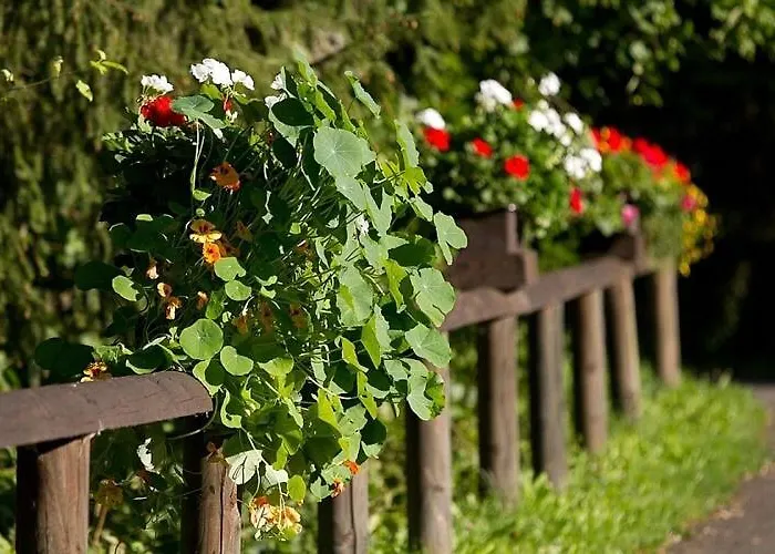 Chalet Cozy Chalet With Fireplace Located In Wooded Area Schönecken