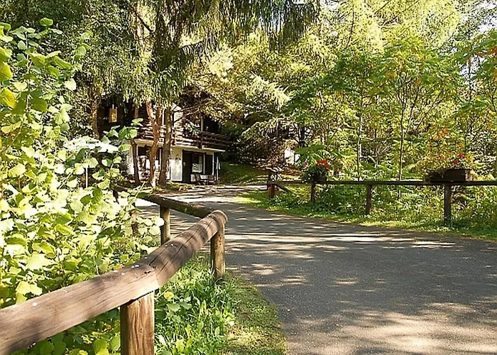 Cozy Chalet With Fireplace Located In Wooded Area