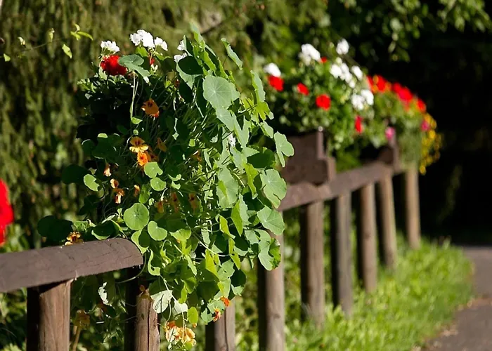 Cozy Chalet With Fireplace Located In Wooded Area Chalet