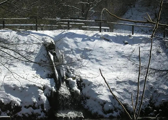 Cozy Chalet With Fireplace Located In Wooded Area Chalet Schönecken